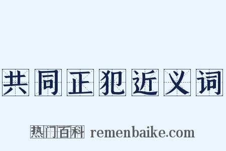 共同正犯近义词是什么意思的图片